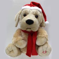 See more information about the Christmas Jumbo Dog